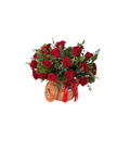 Rosa  Ollita de mama